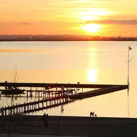 Lovely In Lembruch-duemmer With Sauna Holiday home